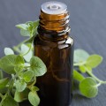 The Power of Oregano Oil: A Natural Antibiotic Alternative