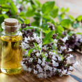 The Power of Oregano Oil for Gut Health