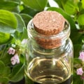 The Truth About Taking Oregano Oil Long Term