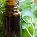 The Healing Power of Oregano Oil: A Comprehensive Guide to its Health Benefits