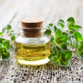 The Benefits and Risks of Taking Oregano Oil Daily