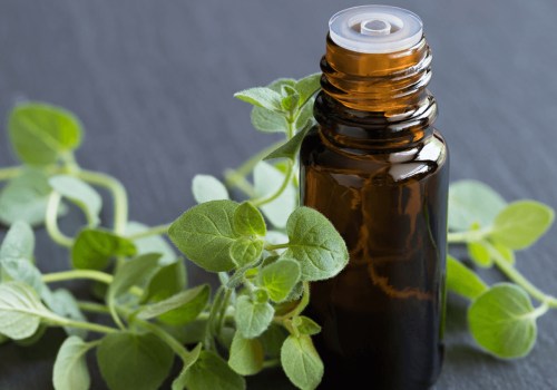 The Dangers of Long-Term Use of Oil of Oregano