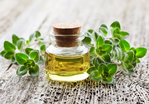 The Benefits and Risks of Taking Oregano Oil Daily