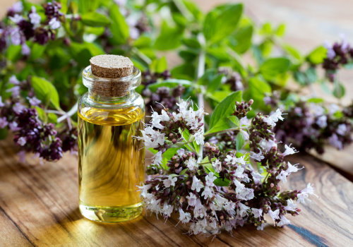 The Power of Oregano Oil for Gut Health