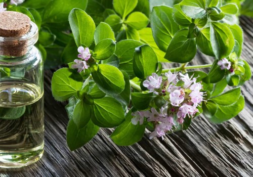 The Power of Oregano Oil: From Weight Loss to Infections